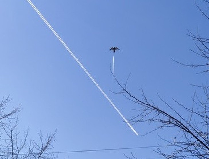 Ảnh: BrightSide Ảnh: BrightSide