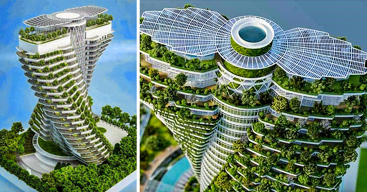 Ảnh: BrightSide Ảnh: BrightSide