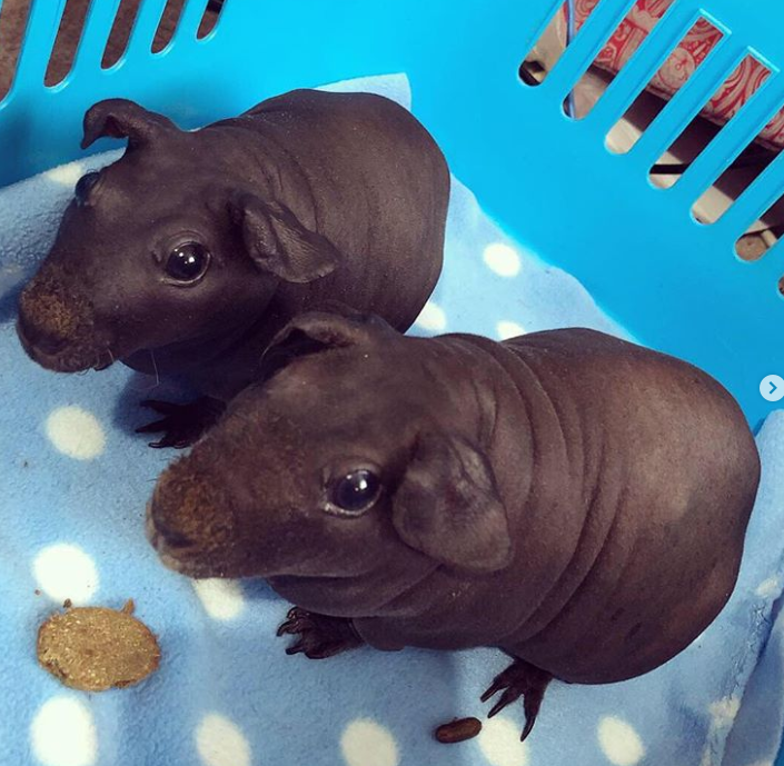 Ảnh: BrightSide Ảnh: BrightSide