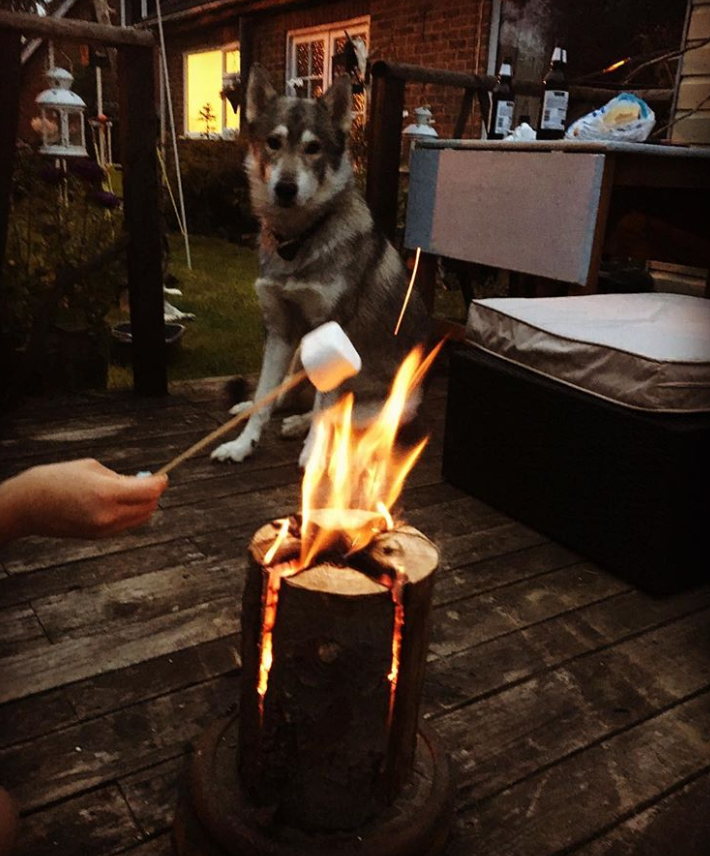 Ảnh: BrightSide Ảnh: BrightSide