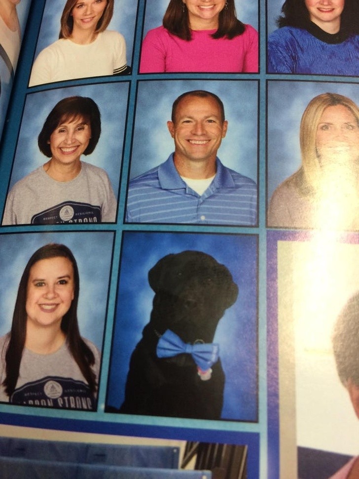 Ảnh: BrightSide Ảnh: BrightSide