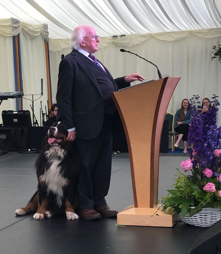 Ảnh: BrightSide Ảnh: BrightSide