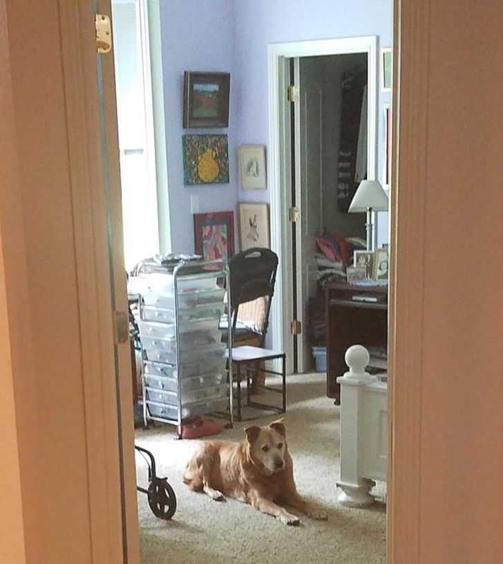 Ảnh: BrightSide Ảnh: BrightSide