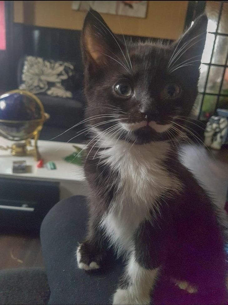 Ảnh: BrightSide Ảnh: BrightSide