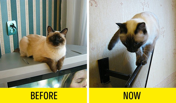 Ảnh: BrightSide Ảnh: BrightSide