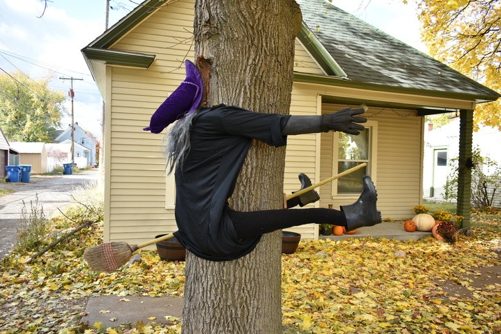 Ảnh: BrightSide Ảnh: BrightSide