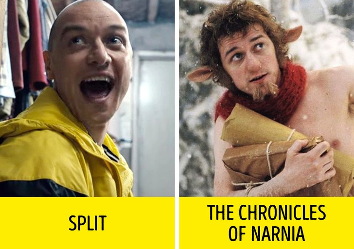 Ảnh: BrightSide Ảnh: BrightSide