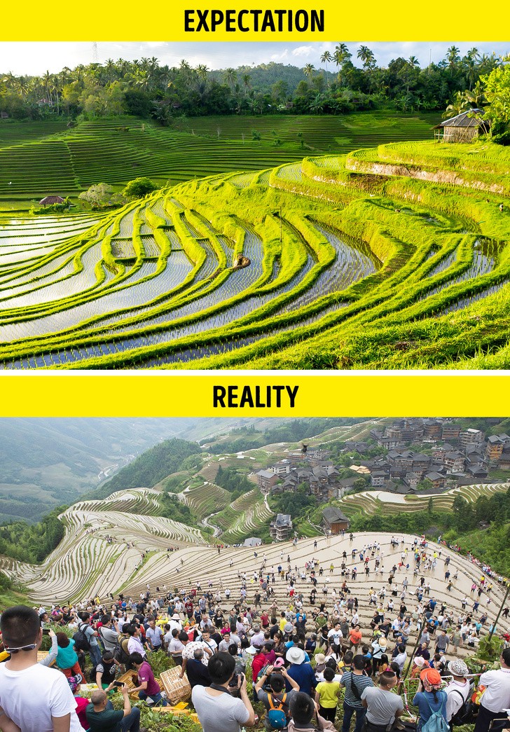 Ảnh: BrightSide Ảnh: BrightSide