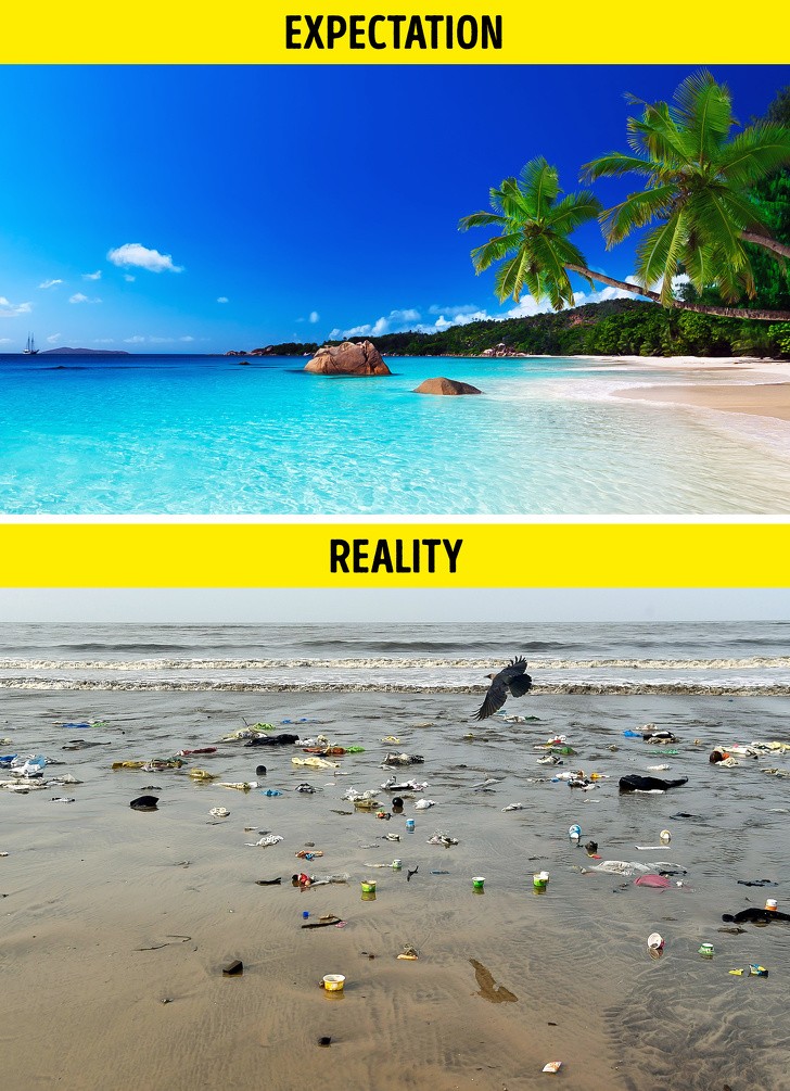 Ảnh: BrightSide Ảnh: BrightSide