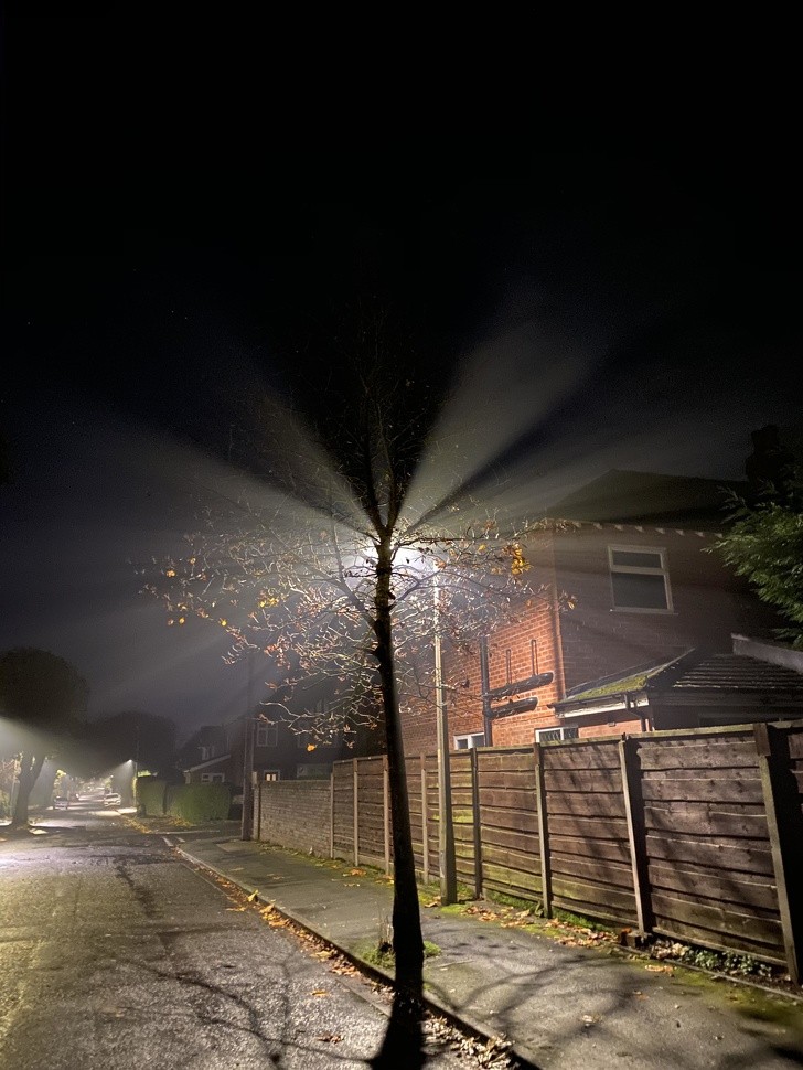 Ảnh: BrightSide Ảnh: BrightSide