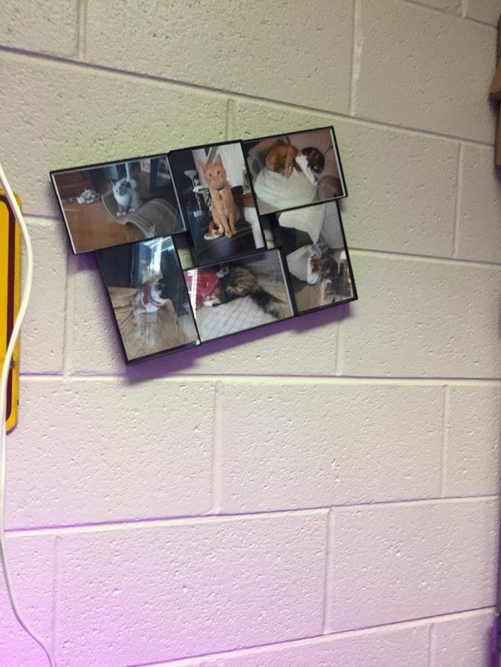 Ảnh: BrightSide Ảnh: BrightSide