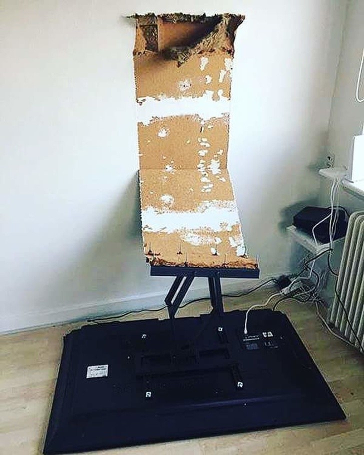 Ảnh: BrightSide Ảnh: BrightSide