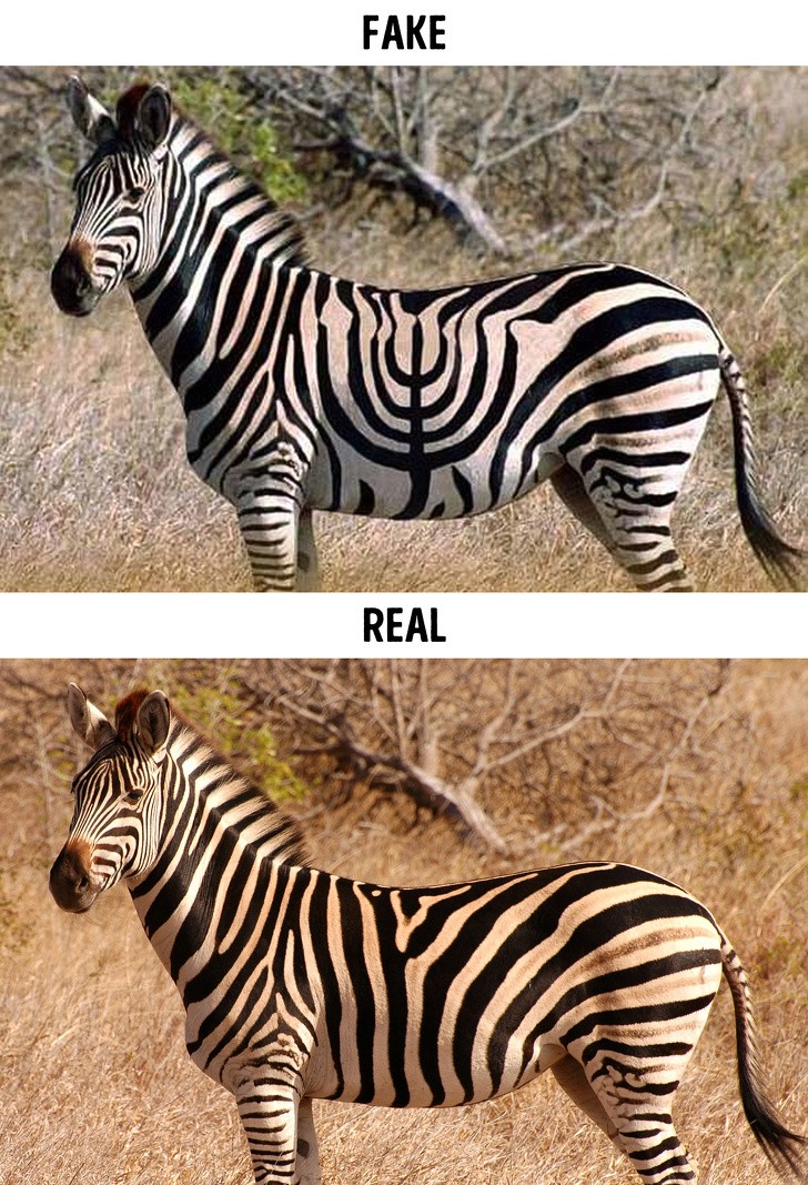 Ảnh: BrightSide Ảnh: BrightSide