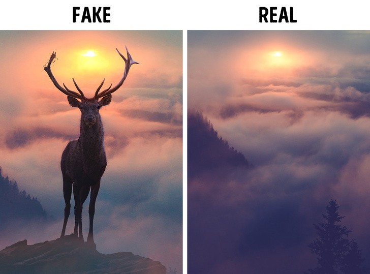 Ảnh: BrightSide Ảnh: BrightSide