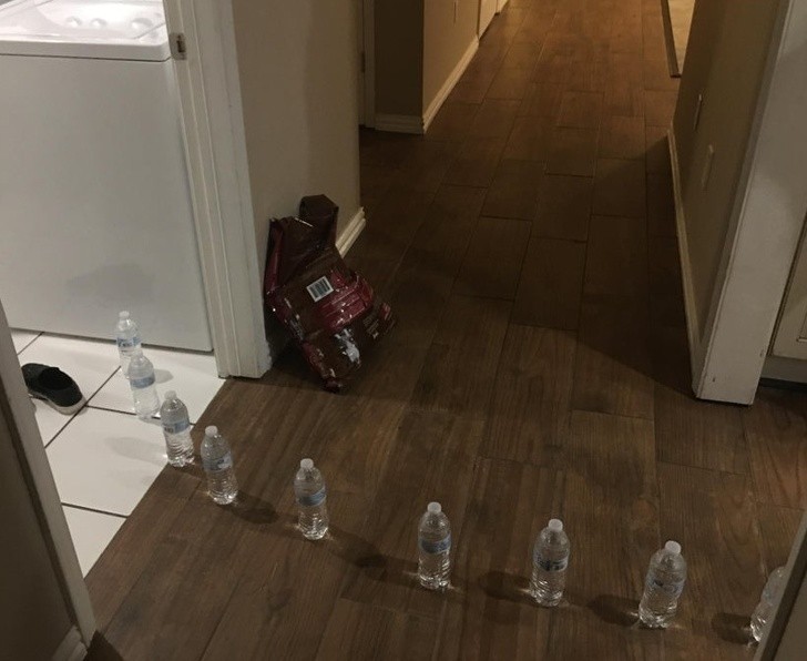 Ảnh: BrightSide Ảnh: BrightSide