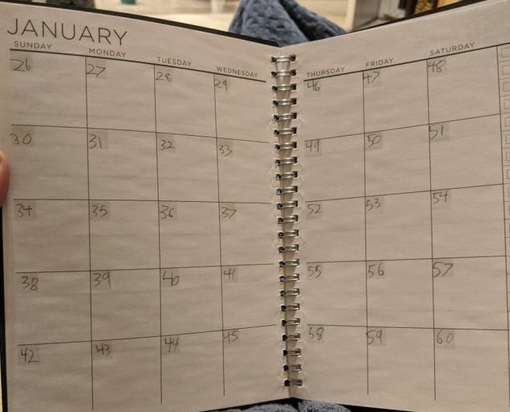 Ảnh: BrightSide Ảnh: BrightSide