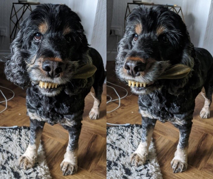 Ảnh: BrightSide Ảnh: BrightSide