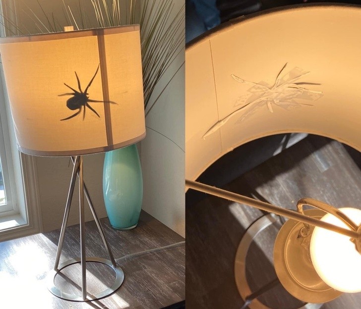 Ảnh: BrightSide Ảnh: BrightSide