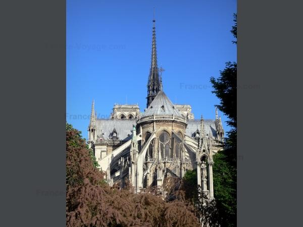 Chùm ảnh về vẻ đẹp của Nhà thờ Đức Bà Paris trước vụ hỏa hoạn làm sập mái vòm và tháp đêm 15/4 - ảnh 1