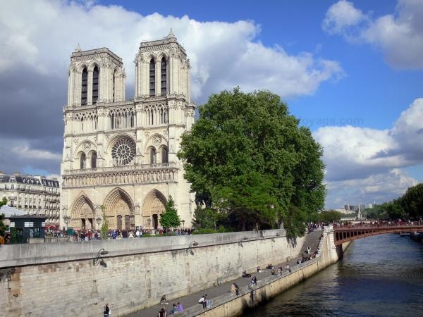 Chùm ảnh về vẻ đẹp của Nhà thờ Đức Bà Paris trước vụ hỏa hoạn làm sập mái vòm và tháp đêm 15/4 - ảnh 10