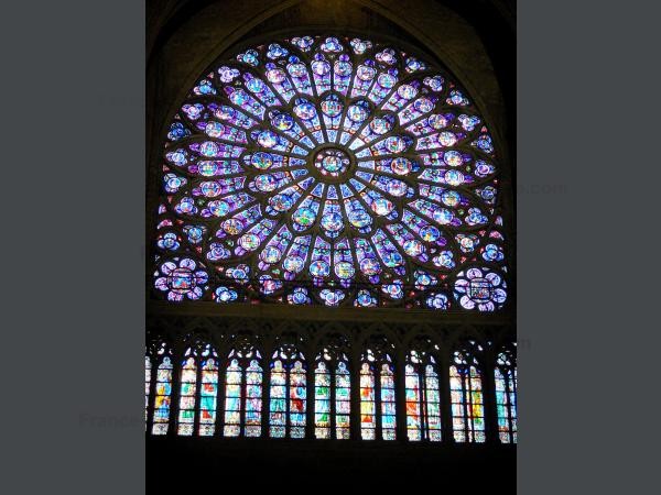 Chùm ảnh về vẻ đẹp của Nhà thờ Đức Bà Paris trước vụ hỏa hoạn làm sập mái vòm và tháp đêm 15/4 - ảnh 15