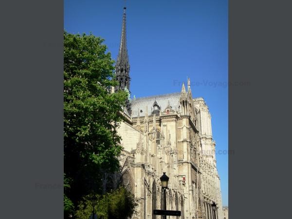 Chùm ảnh về vẻ đẹp của Nhà thờ Đức Bà Paris trước vụ hỏa hoạn làm sập mái vòm và tháp đêm 15/4 - ảnh 29