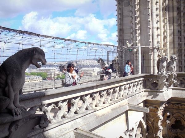 Chùm ảnh về vẻ đẹp của Nhà thờ Đức Bà Paris trước vụ hỏa hoạn làm sập mái vòm và tháp đêm 15/4 - ảnh 25