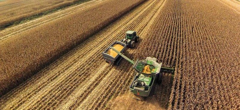 Cuộc chiến thương mại nông nghiệp của ông Trump đã “phủ sóng” toàn cầu - ảnh 11